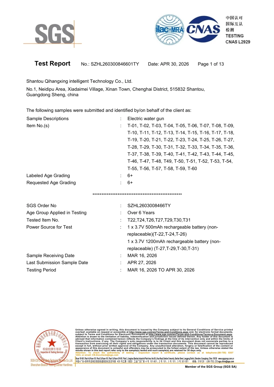 EN IEC 62115 electrical safety report — original document preview