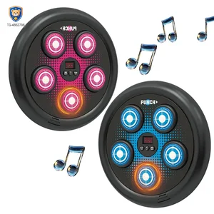 Electronic Boxing Board​ Toys, Boxing Toys for 8 Year Olds​ and Up