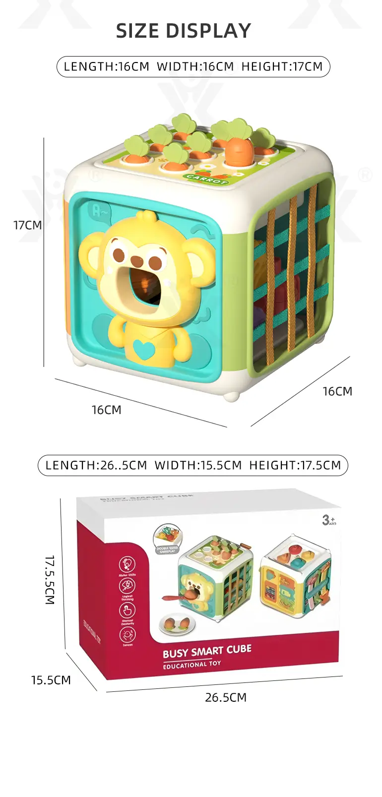Educational Toys (TG493420803) — product detail panel 10