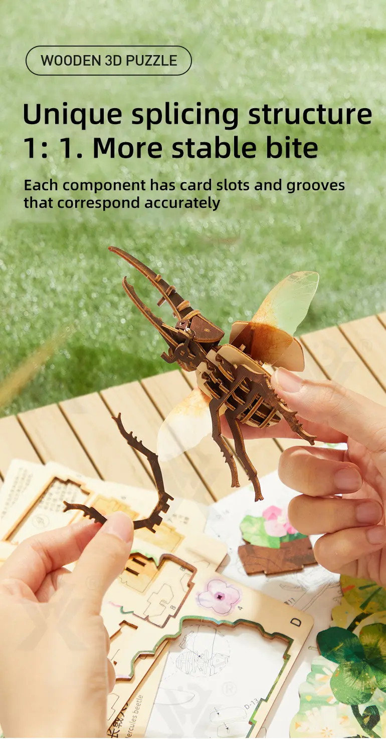 3D Insect Wooden Puzzle Supplier, STEM Toy– Improves Creativity and Fine Motor Skills (TG427584902) — product detail panel 2