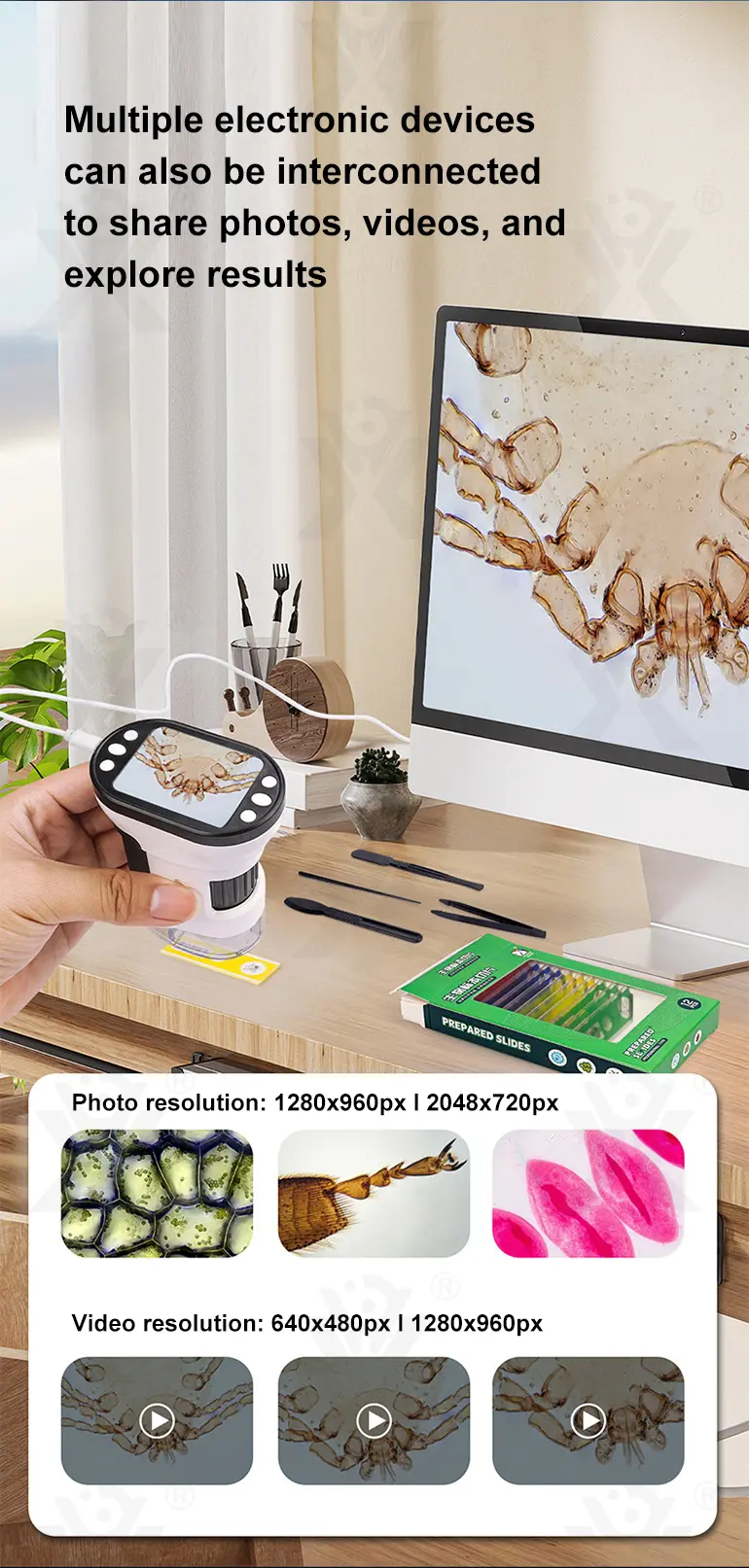 Microscope Toys (TG4358602) — product detail panel 7