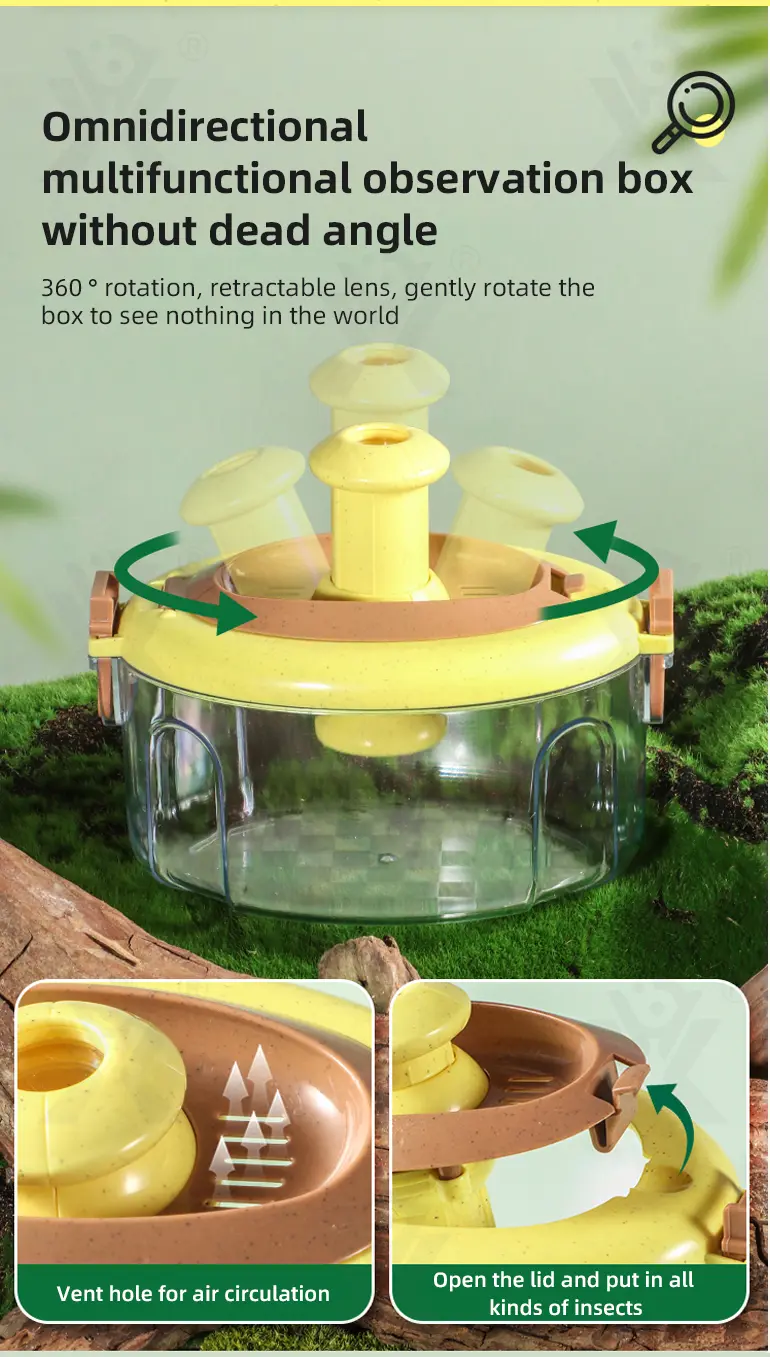 Outdoor Exploration Toy, Insect Capture Toy Supply (TG4865279) — product detail panel 2