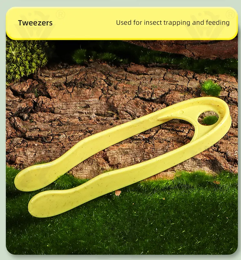 Outdoor Exploration Toy, Insect Capture Toy Supply (TG4865279) — product detail panel 6
