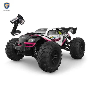RC Off-Road Stunt Car Toy With Brushless Motor