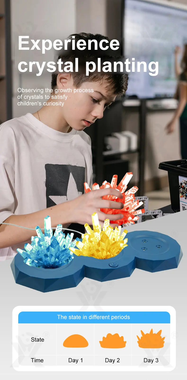 Crystal Planting Kits, Crystal Growing Kit (TG4399725) — product detail panel 4