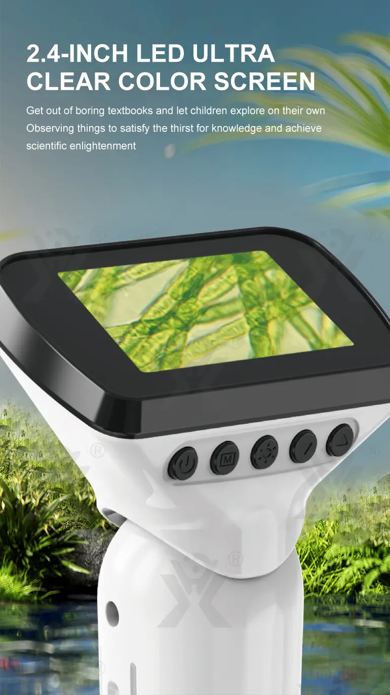 3-in-1 Carton Digital Microscope (TG4833227) — product detail panel 3