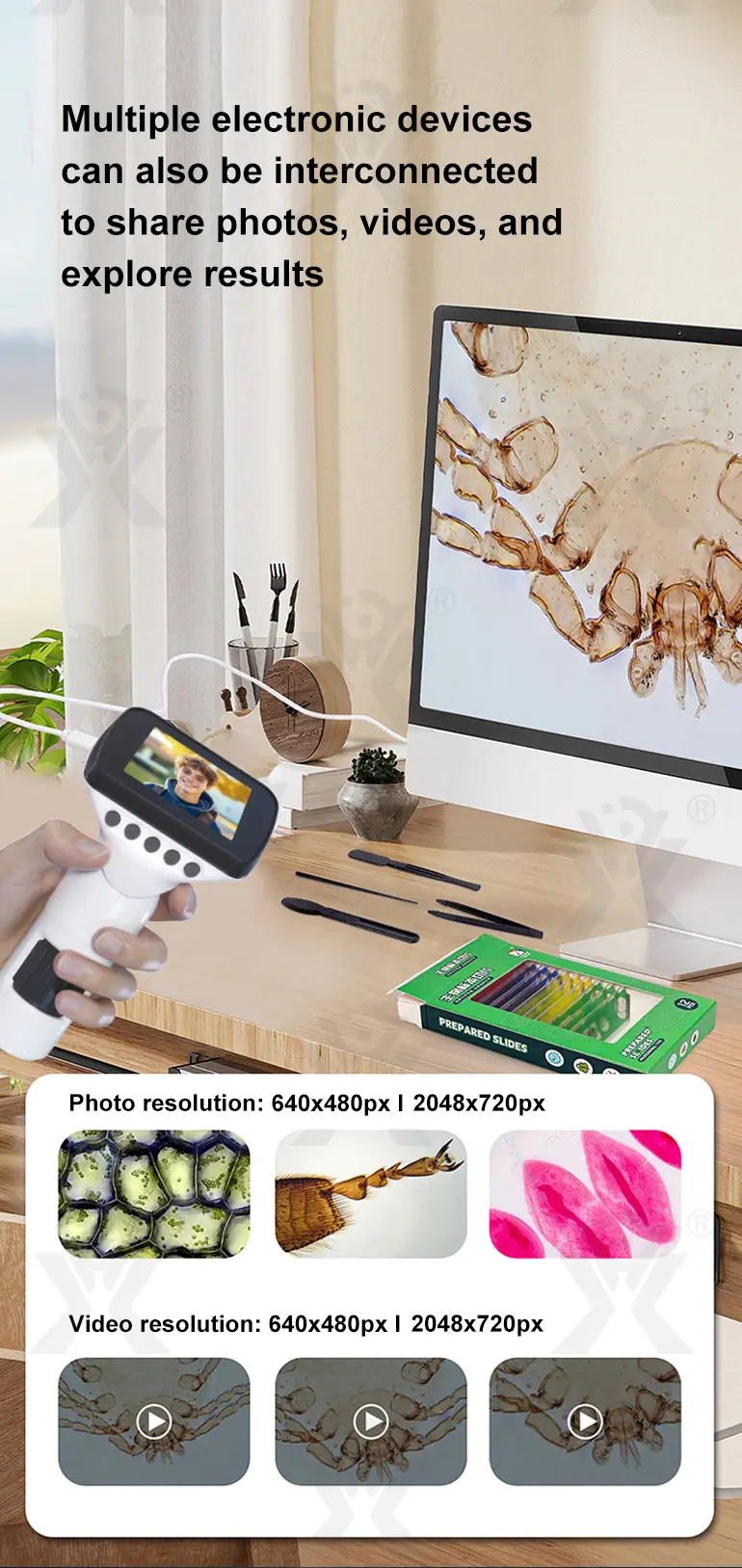 3-in-1 Carton Digital Microscope (TG4833227) — product detail panel 5