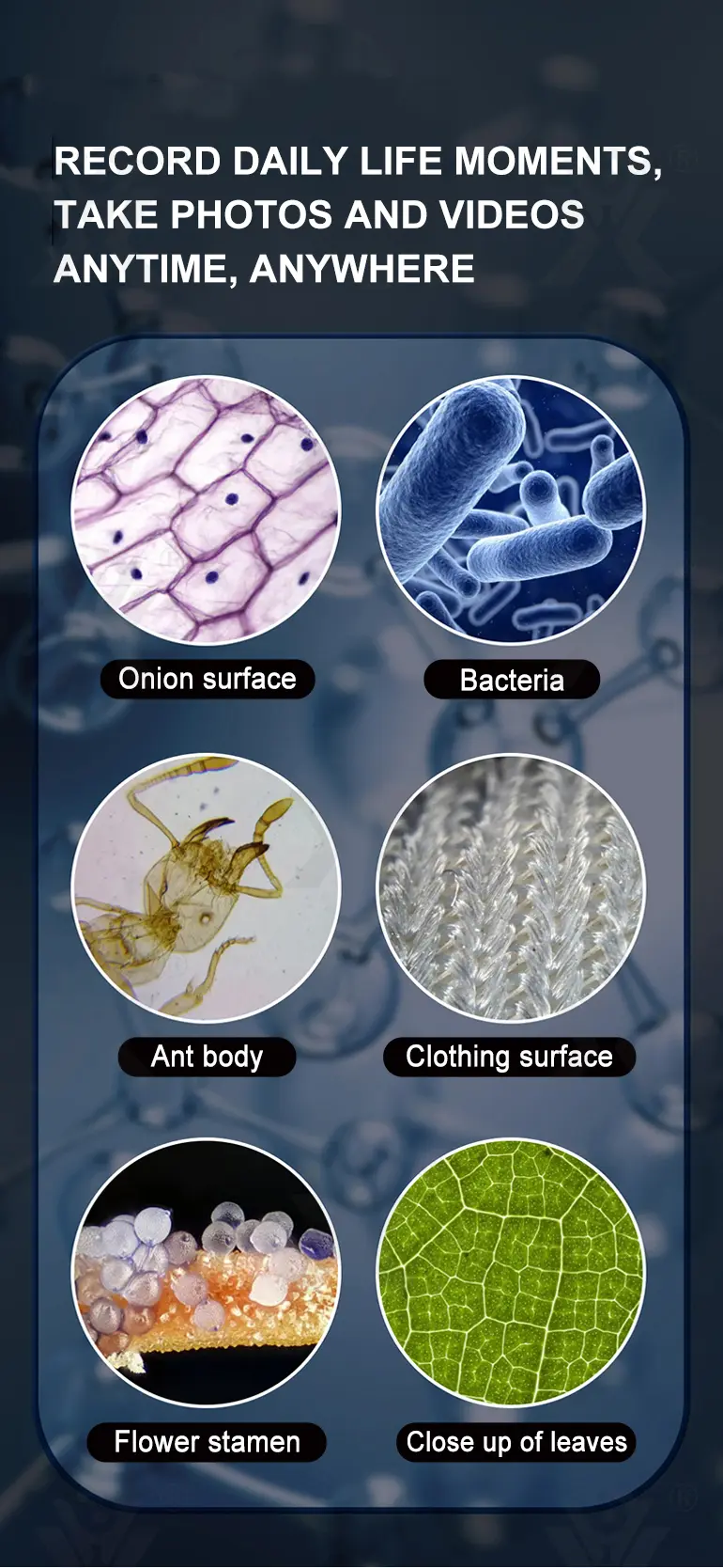 3-in-1 Carton Digital Microscope (TG4833227) — product detail panel 6