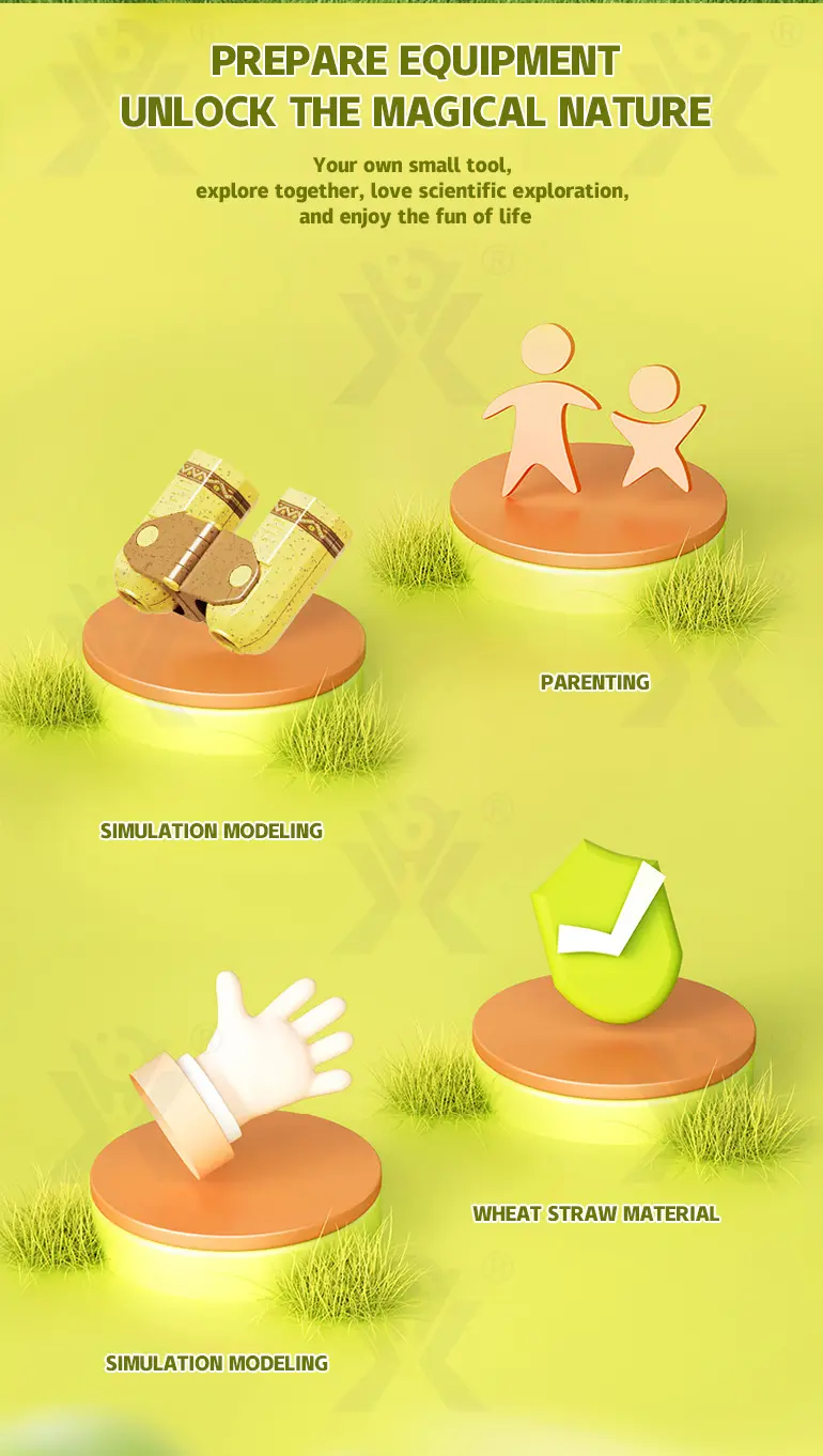 Outdoor Insect Box for Kids to Observe The Insect World (TG4387774) — product detail panel 2