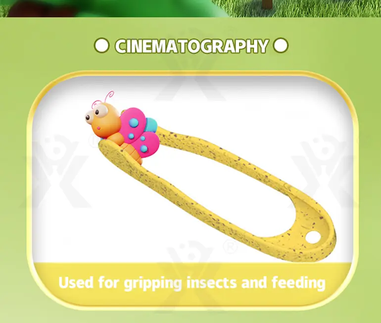 Outdoor Insect Box for Kids to Observe The Insect World (TG4387774) — product detail panel 5