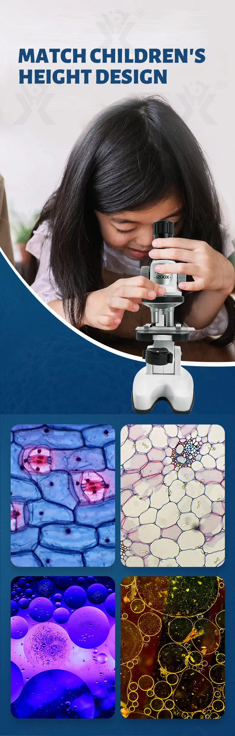 Scientific Microscope Toy Set -Toy Supplier Wholesale (TG4275315) — product detail panel 5