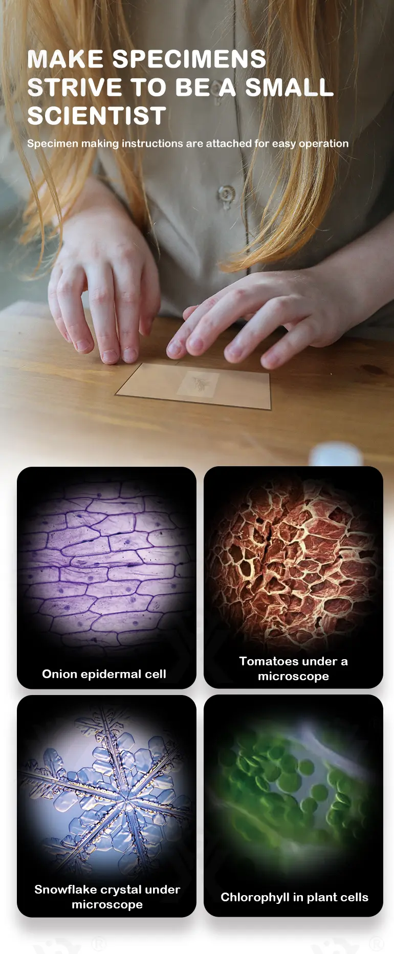 Biological Microscope Toy for Kids, Students (TG4275314) — product detail panel 7