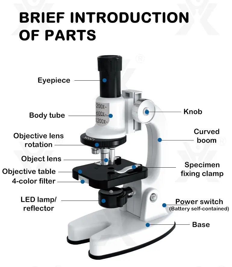 Biological Microscope Toy for Kids, Students (TG4275314) — product detail panel 8