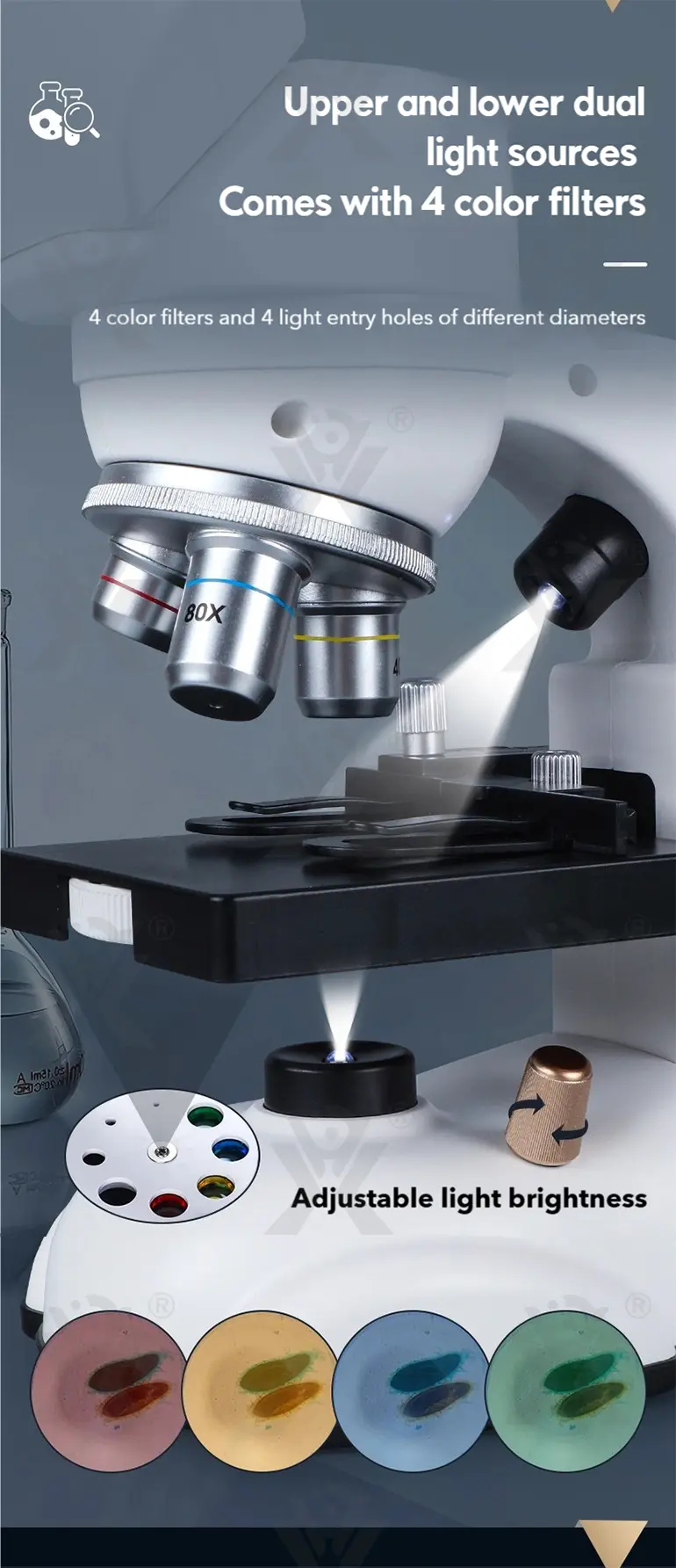 Binocular Microscope Toy, Suitable For Teaching and Playing (TG5147035) — product detail panel 6