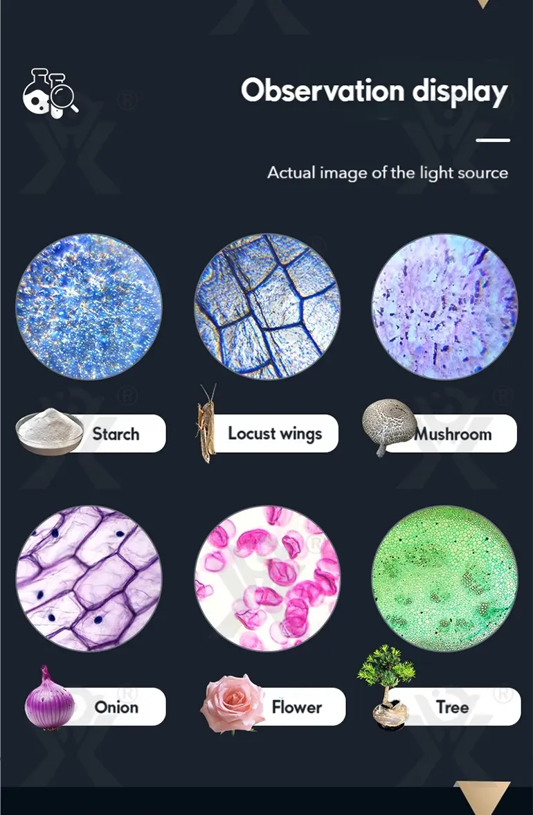 Binocular Microscope Toy, Suitable For Teaching and Playing (TG5147035) — product detail panel 7