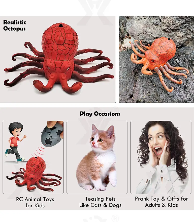 RC Octopus Toys, Fun RC Toys For Family Play (TG4877376) — product detail panel 4