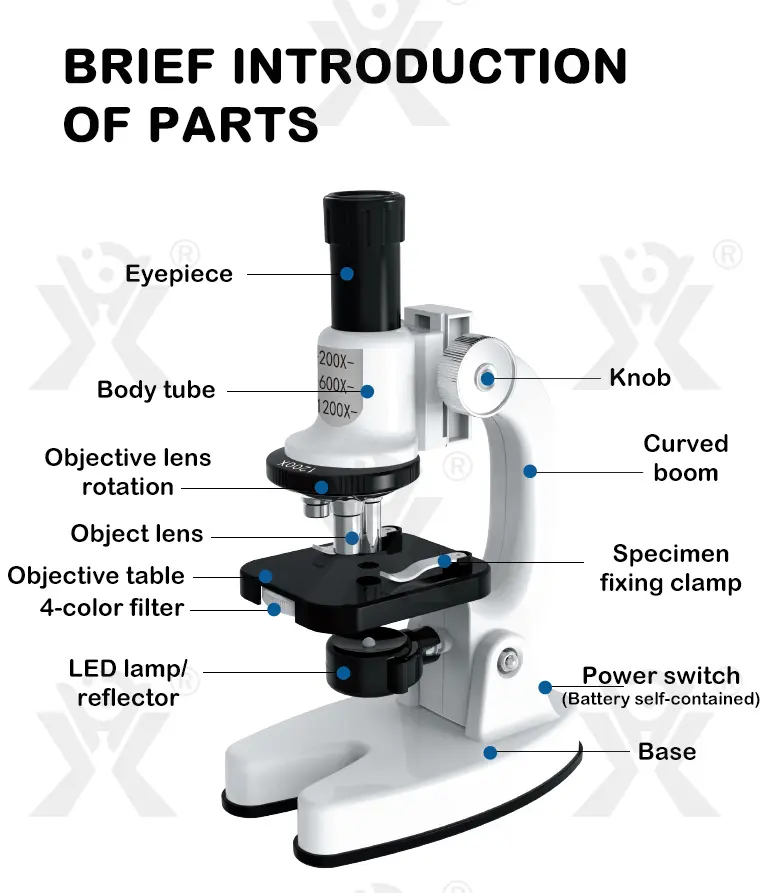 Optical Microscope Toy Set (TG4062274) — product detail panel 11
