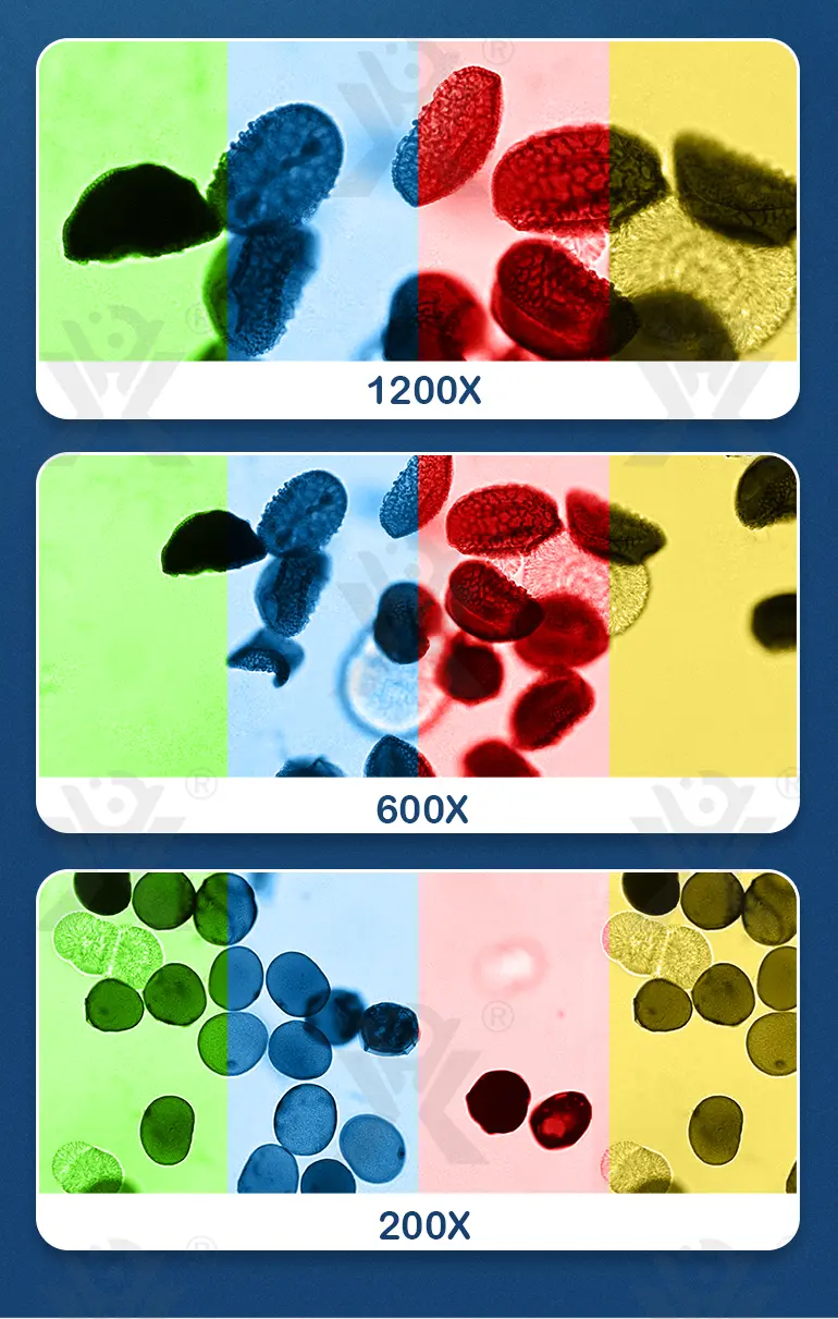 Optical Microscope Toy Set (TG4062274) — product detail panel 5