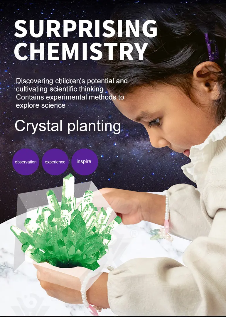 Crystal Planting Toys for Kids (TG1542338) — product detail panel 1