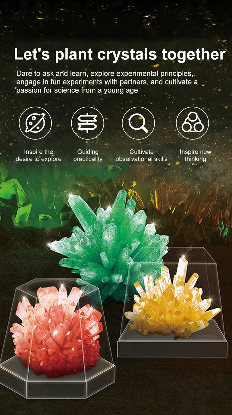 Crystal Planting Toys for Kids (TG1542338) — product detail panel 2