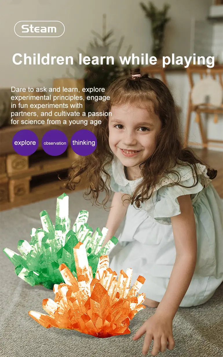 Crystal Planting Toys for Kids (TG1542338) — product detail panel 3
