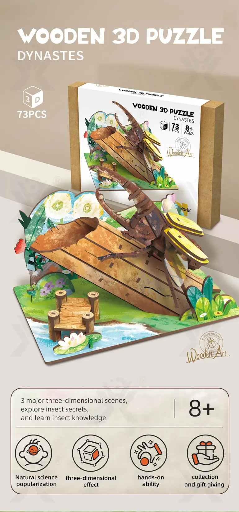 3D Wooden Puzzle Toy Series (TG427584901) — product detail panel 1