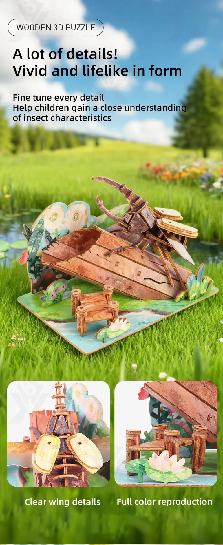 3D Wooden Puzzle Toy Series (TG427584901) — product detail panel 4