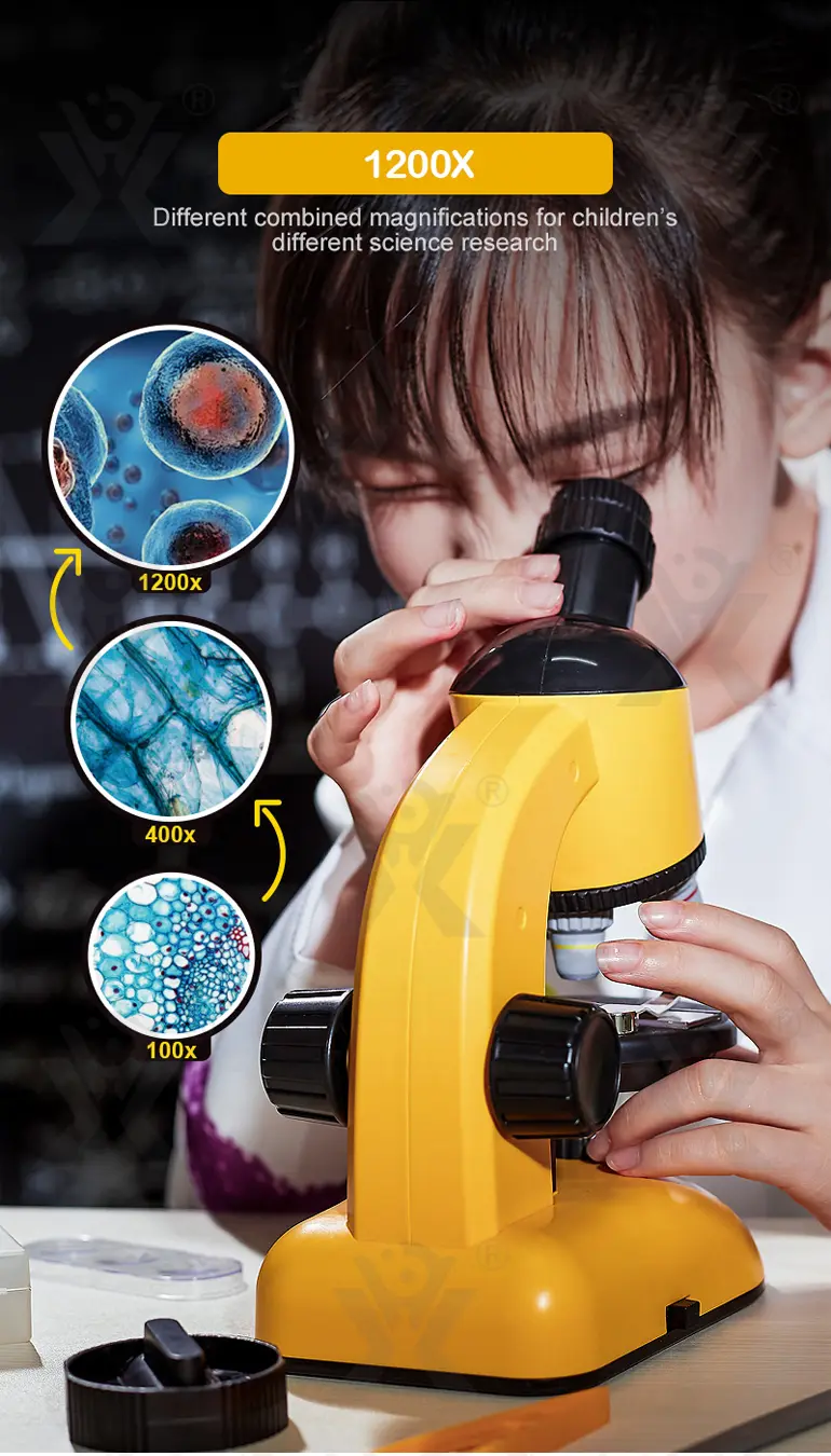 Scientific Microscope Toy, LED 100X-1200X Magnification (TG1672615) — product detail panel 3