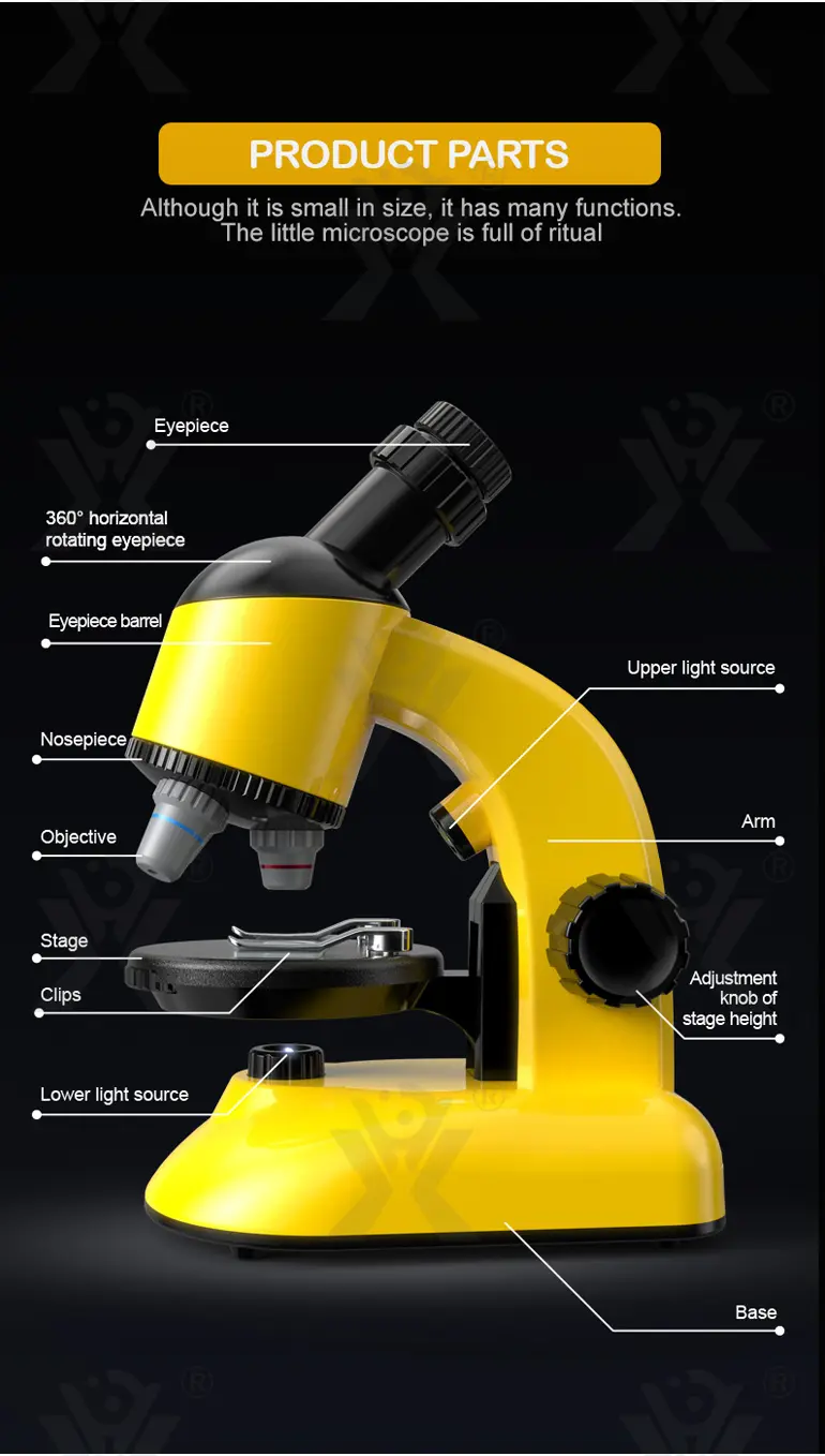 Scientific Microscope Toy, LED 100X-1200X Magnification (TG1672615) — product detail panel 5