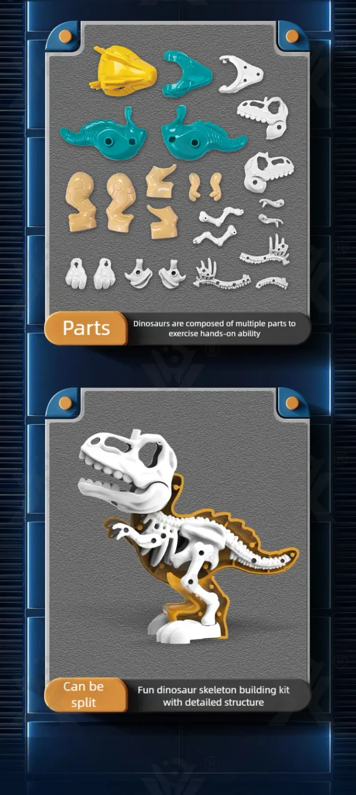 3D Puzzle Figures Assembly Dinosaur Skeleton Toy (TG5041072) — product detail panel 3