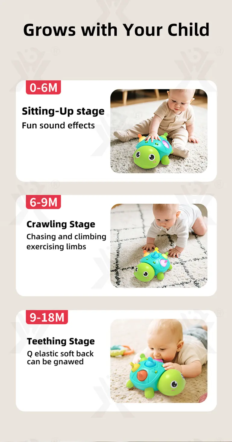 Crawling Turtle, Child-Safe Silicone (TG5006485) — product detail panel 3